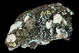 3.1" Aurichalcite and Calcite Association - Utah - #146215-1